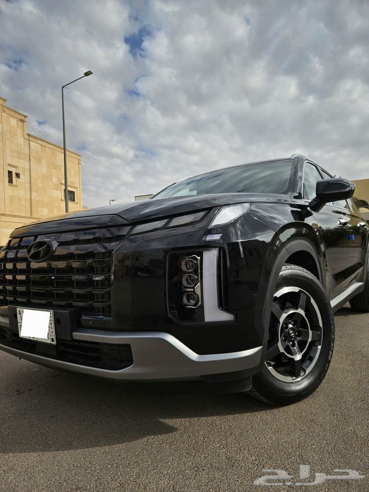 Palisade63617555178371113