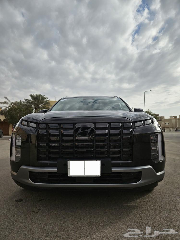 Palisade63617555178371114