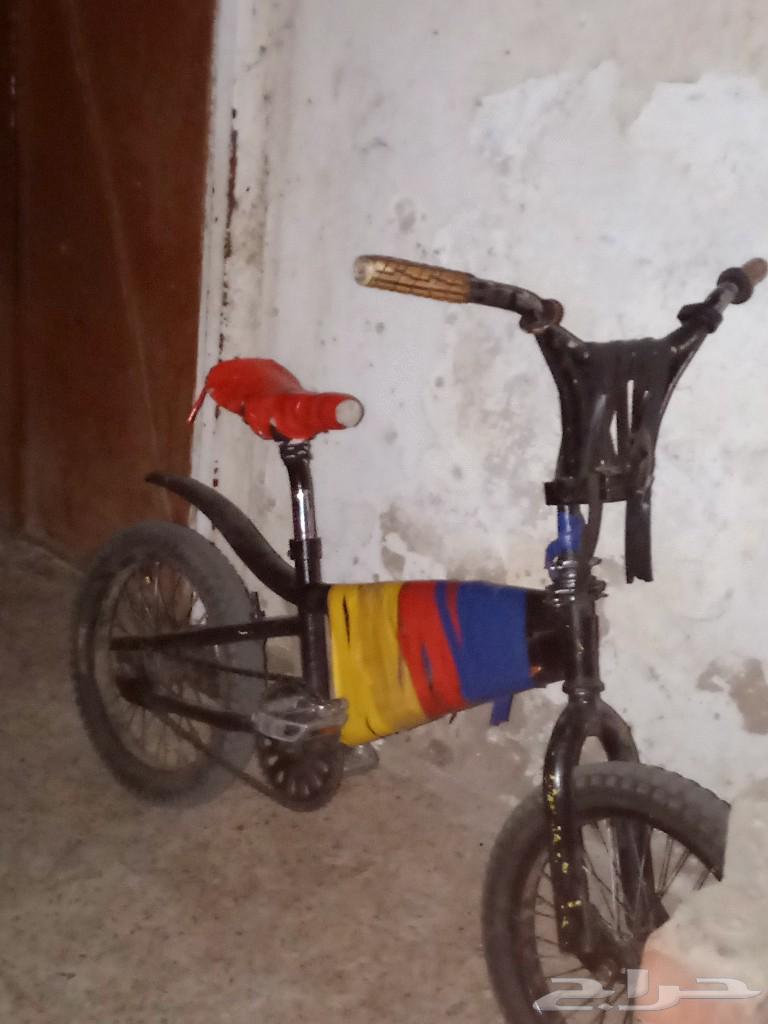 Cobra Cycle63298879388545111