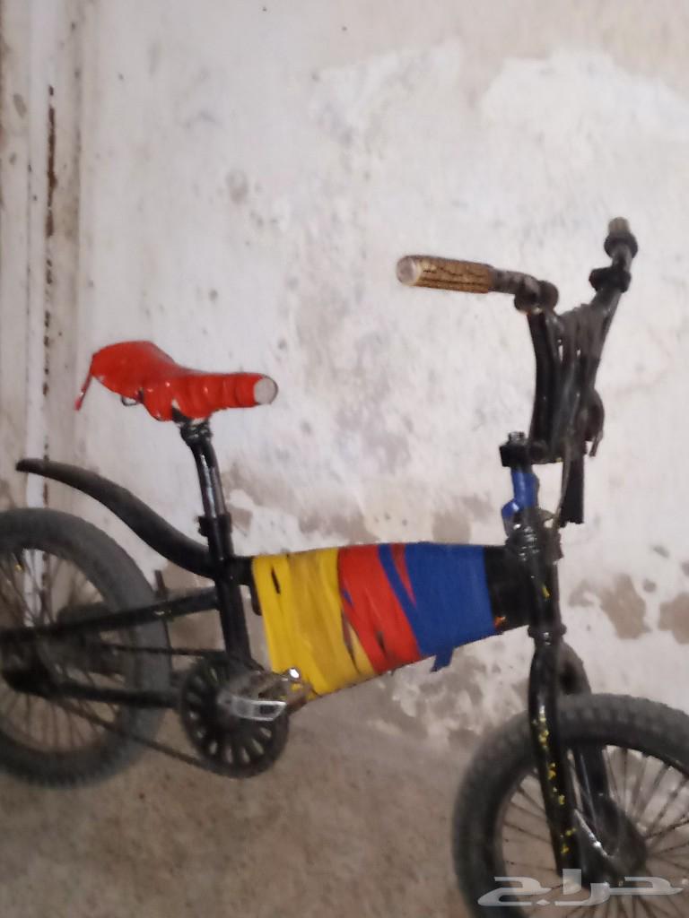 Cobra Cycle63298879388545110