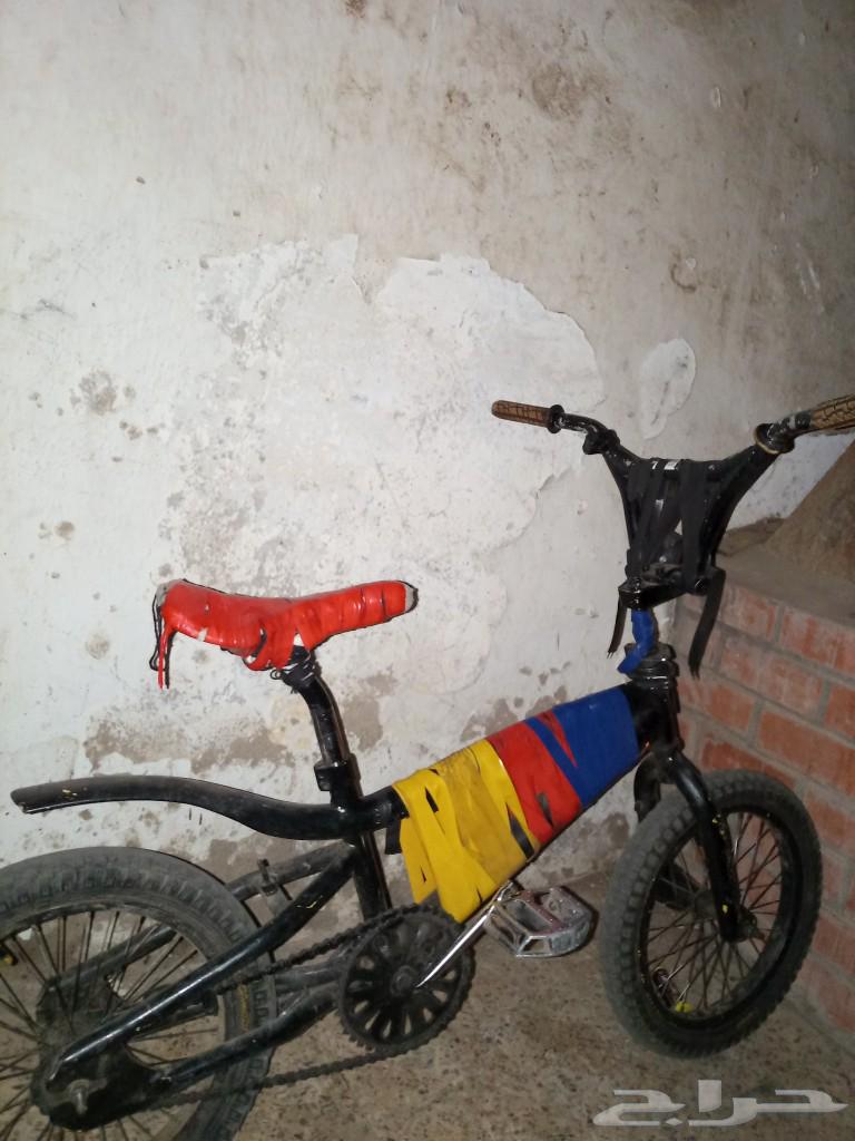 Cobra Cycle63298879388545112