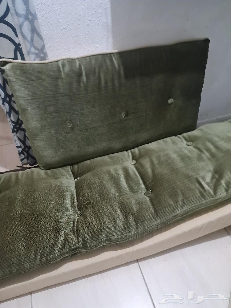 مجلس عربي63616165429122111
