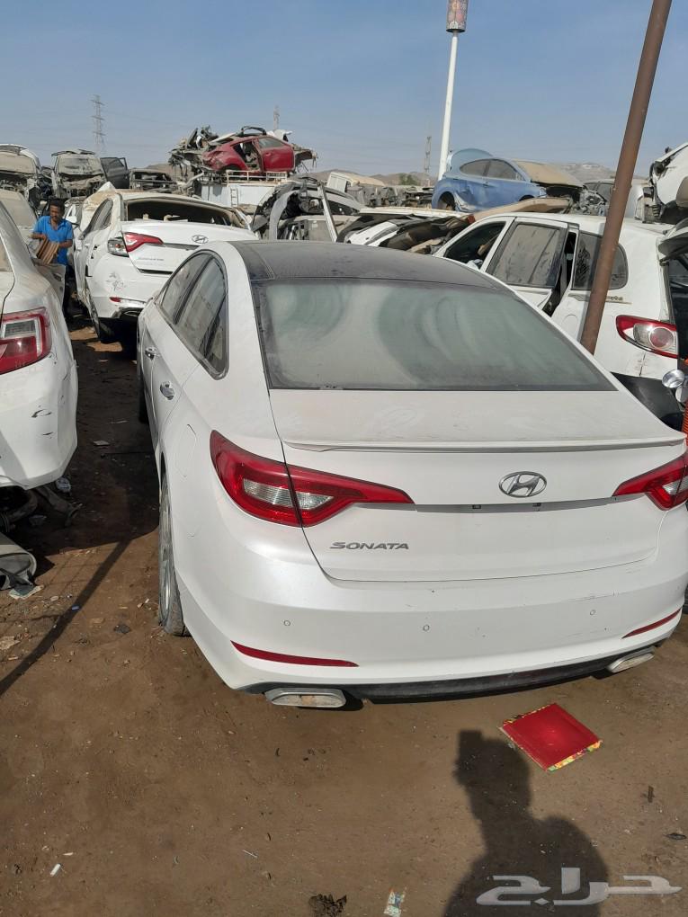Diesel and gasoline Sonata63526958237441112