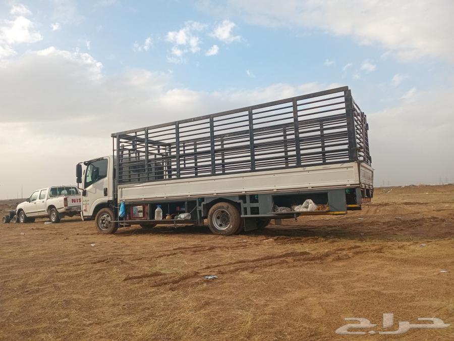 6 meters rental entered Jazan, all cities of the Kingdom.63516785148034111