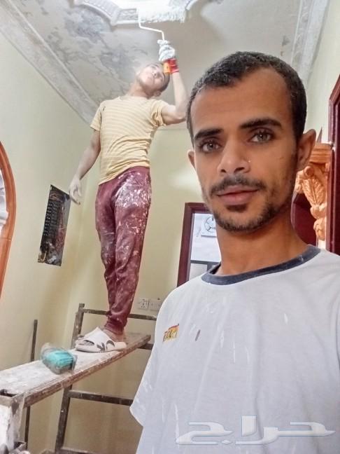 Paints630262047543051114