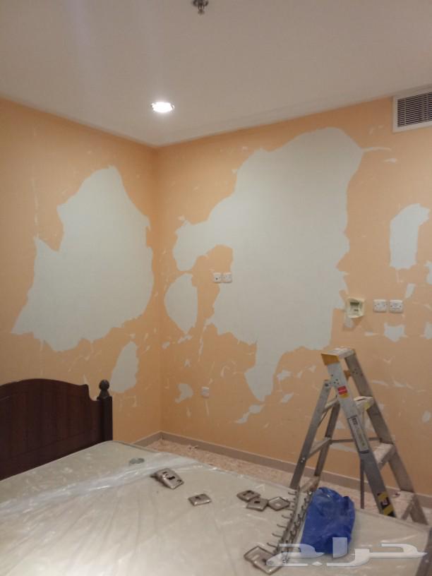 Paints63026204754305112
