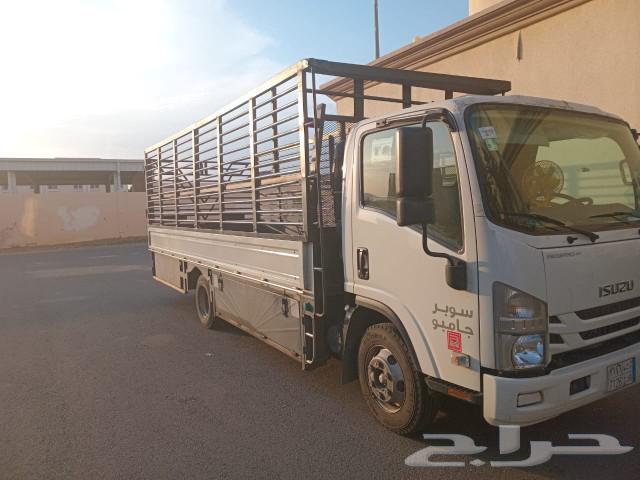 6 meters rental entered Jazan, all cities of the Kingdom.63516785148034113