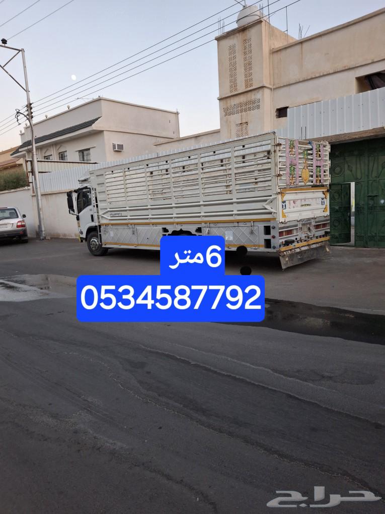 دنا لوري نقل جميع المملكه630257730894091112