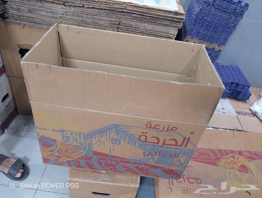 Empty egg cartons63616472346369112