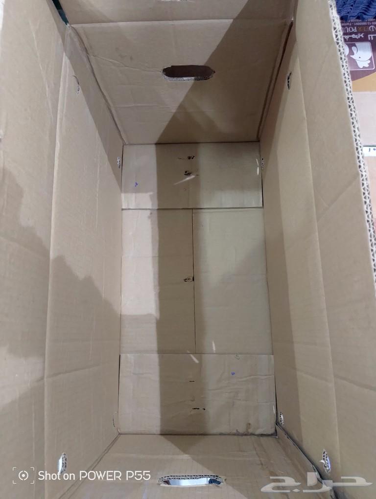 Empty egg cartons63616472346369111