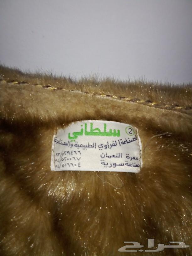 فرو للبيع عل السوم63318870108161112