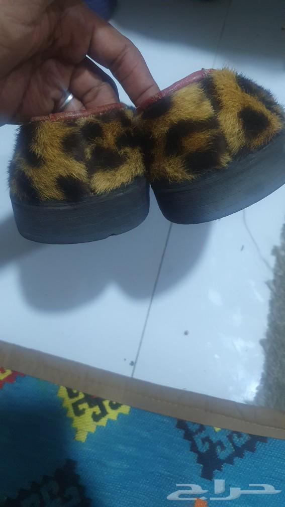 A genuine tiger compound in good condition63280461691521112