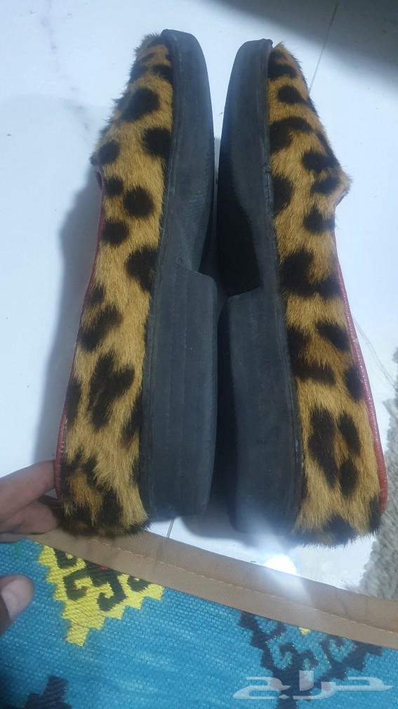 A genuine tiger compound in good condition63280461691521113