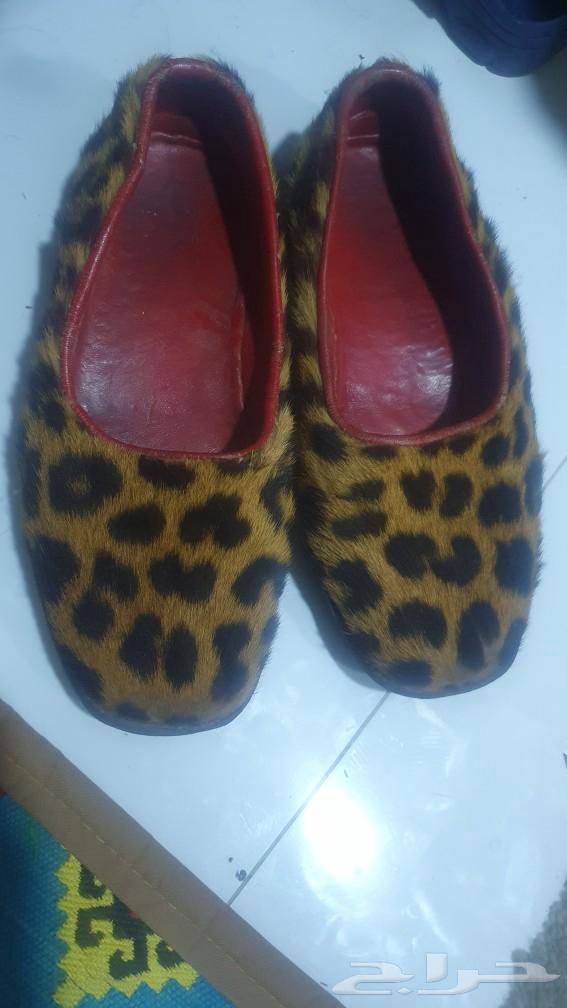 A genuine tiger compound in good condition63280461691521111