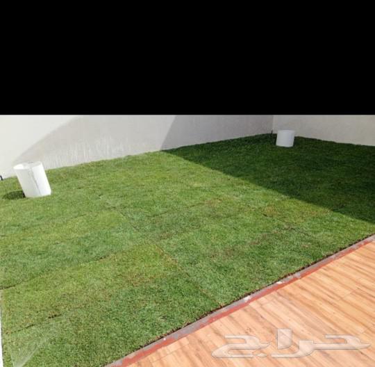 Excellent quality natural grass, first grade, very good luck to everyone63616942980353112