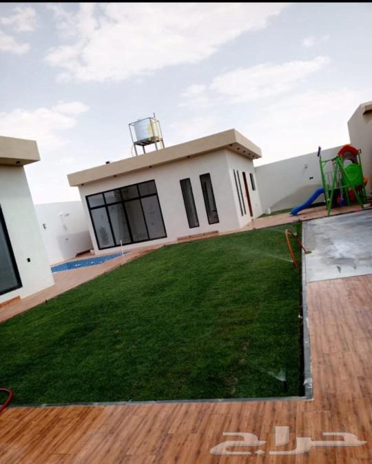 Excellent quality natural grass, first grade, very good luck to everyone63616942980353113