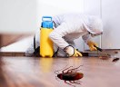 شركة مكافحة حشرات خصومات تصل الي 5063006959040003112