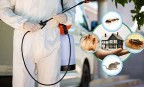 شركة مكافحة حشرات خصومات تصل الي 5063006959040003111