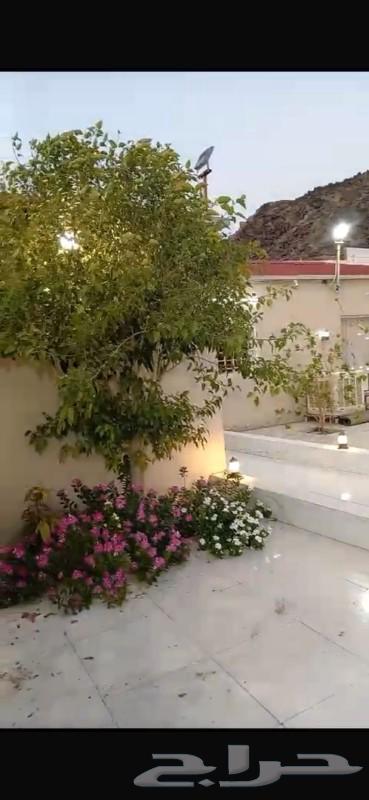 Break for sale behind Al-Qurara station in the new Al-Umra area63004082105346114