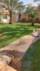 ثيل طبيعي وأشجار طبيعي63268291062530114