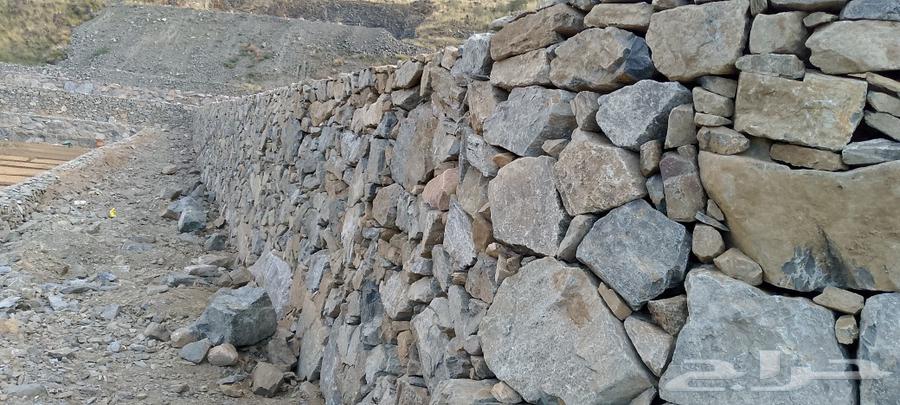 Stone Teacher63007300966147111