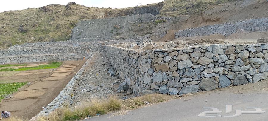 Stone Teacher63007300966147114