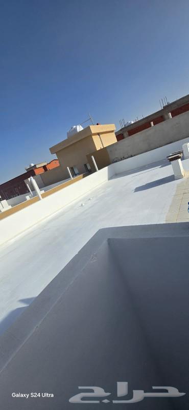 Painting and decoration teacher, and insulator63007301499650111