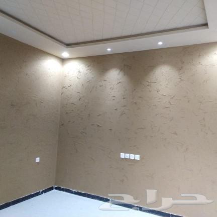 Ahmad for all wall paints and doors apartment renewal villas63007260588929111