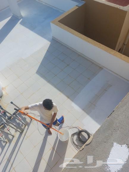 Painting and decoration teacher, and insulator63007301499650114