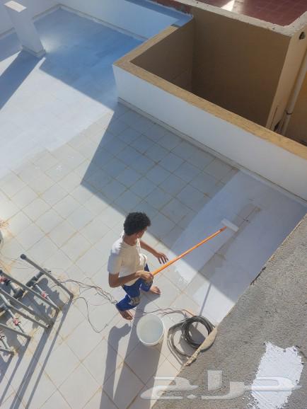Painting and decoration teacher, and insulator63007301499650112
