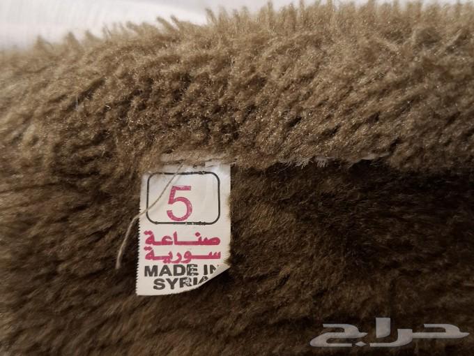 فروة بنات صغار63265309910403112
