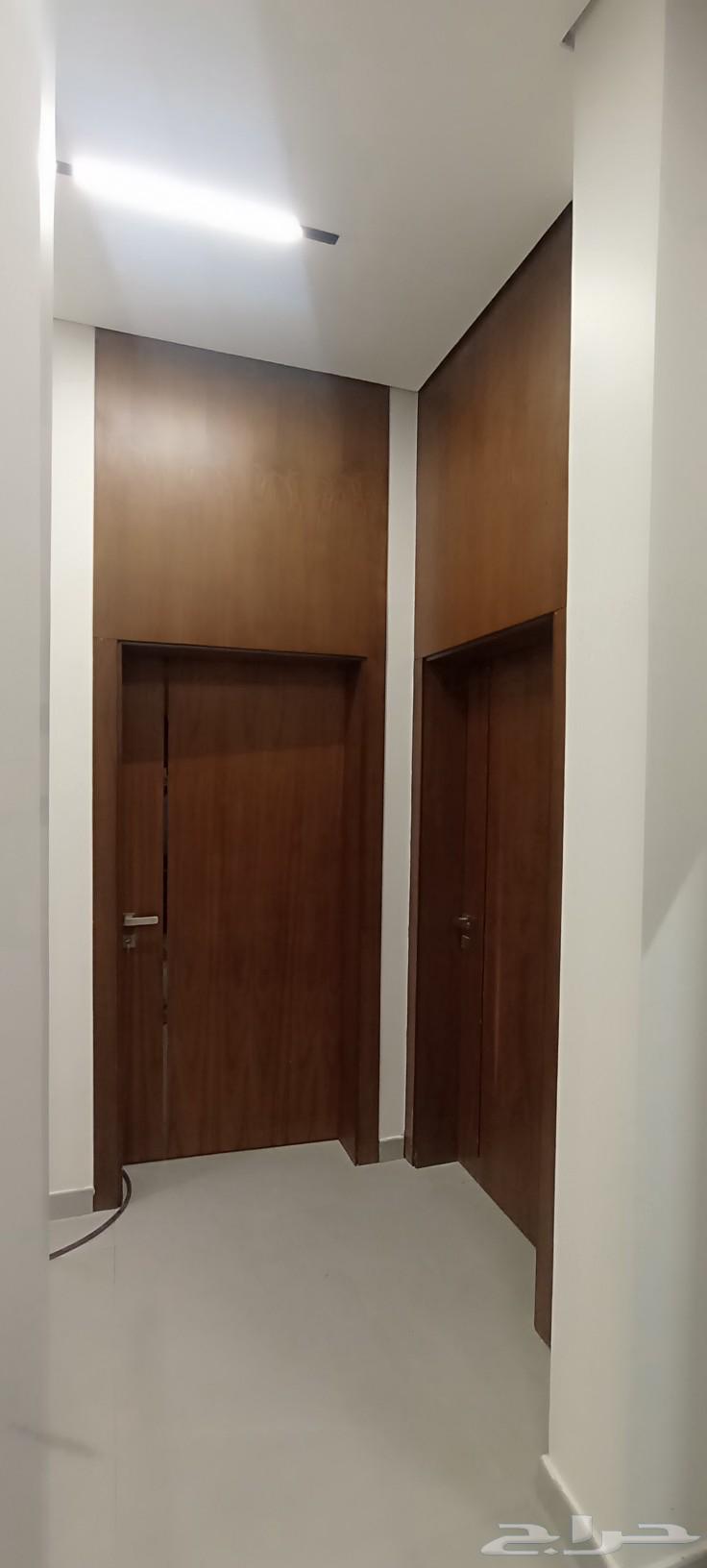 Carpenter doors, custom doors capsule. Peel. Paint.63007381686018111
