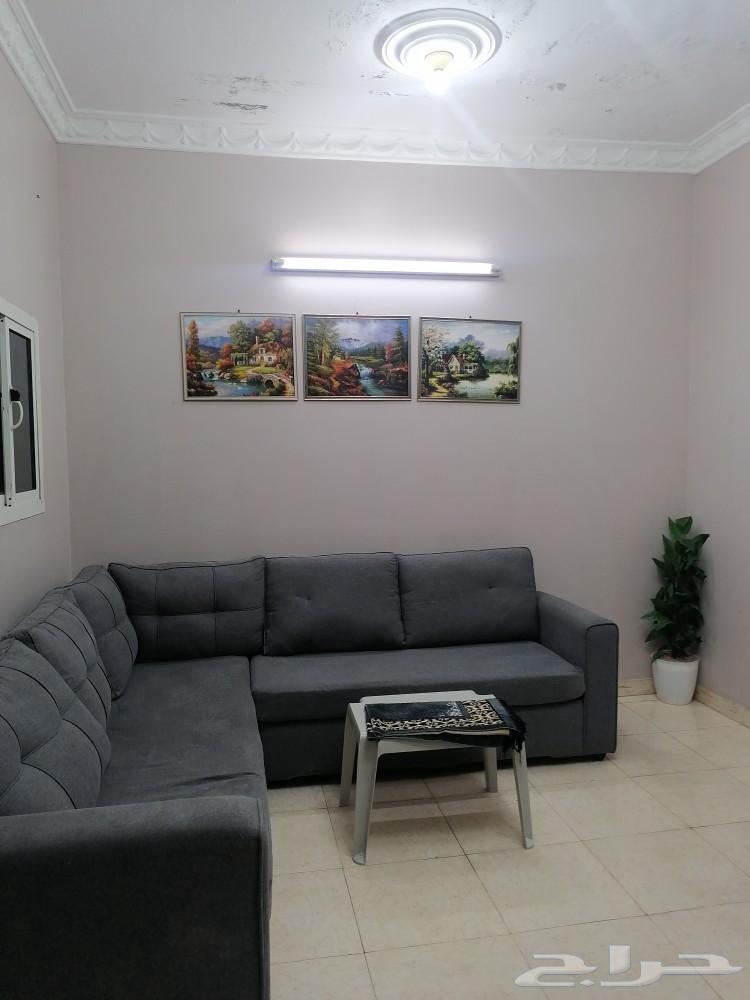 شقق مفروشه كبيره عوايل جيزان حي الشاطي مخطط630072995114251129
