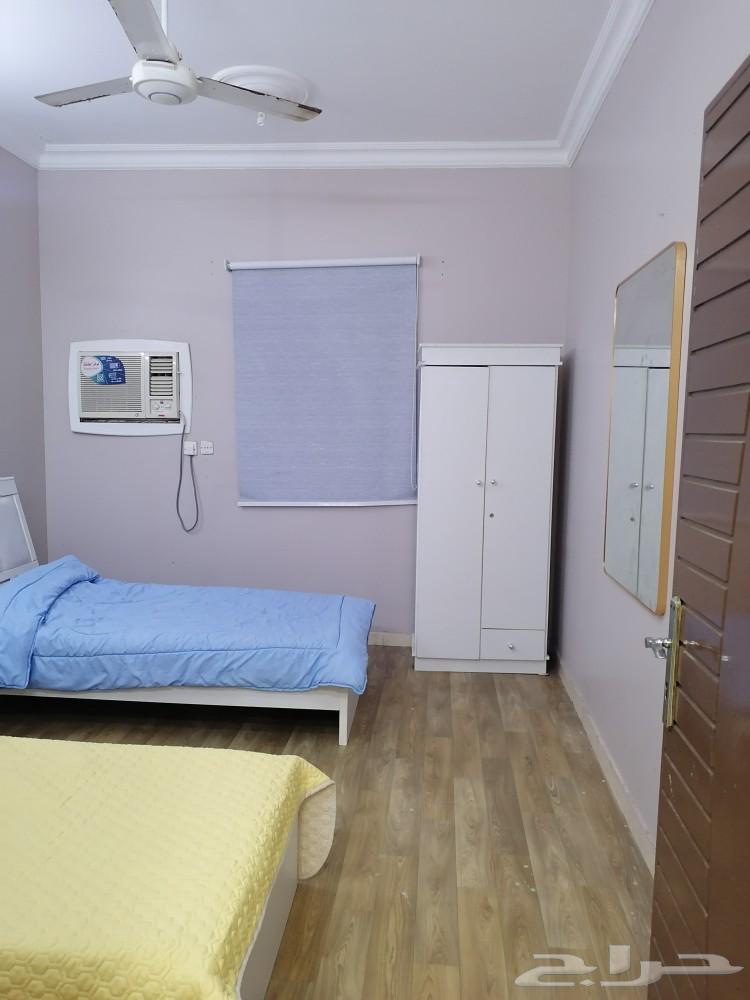شقق مفروشه كبيره عوايل جيزان حي الشاطي مخطط63007299511425113