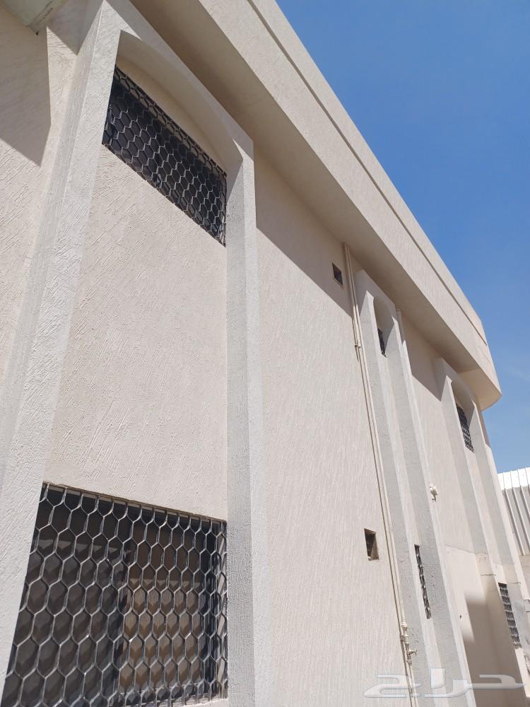 Painter and Decorator Profile from Pakistan63007261321219113