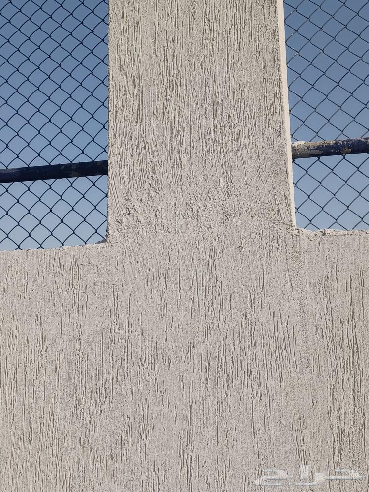 Painter and Decorator Profile from Pakistan63007261321219111