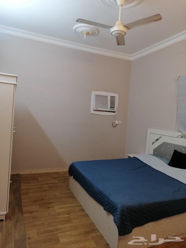 شقق مفروشه كبيره عوايل جيزان حي الشاطي مخطط63007299511425114