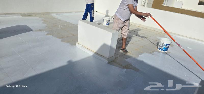 Painting and decoration teacher, and insulator63007301499650113