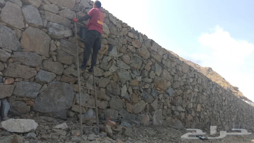 Stone Teacher63007300966147112