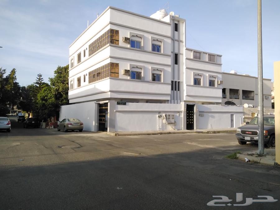 Internal and external plastering, exterior profile painting and water insulation for renovation63007342820739113