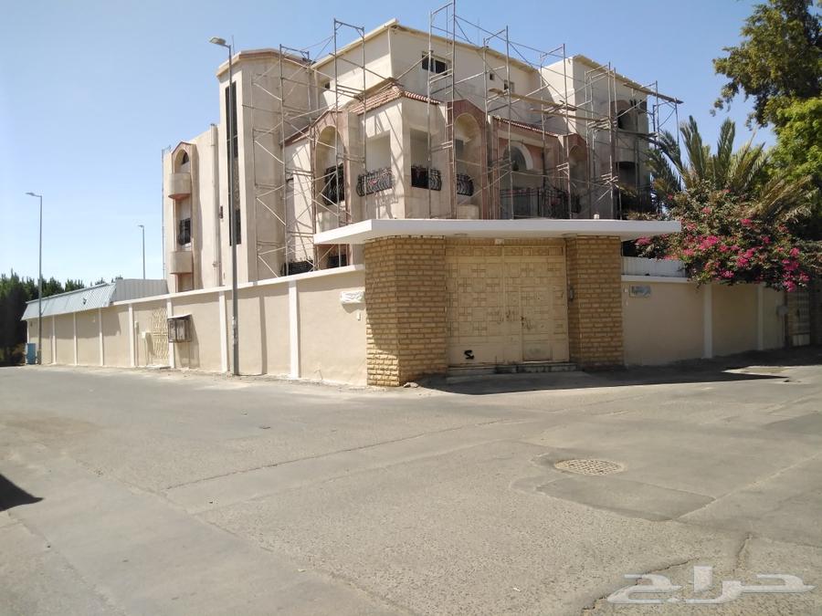 Internal and external plastering, exterior profile painting and water insulation for renovation63007342820739114