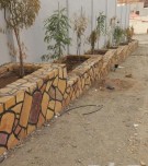 Stone Teacher63007342462209111