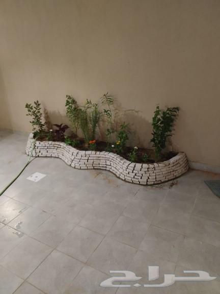 Random stone63007451527041113