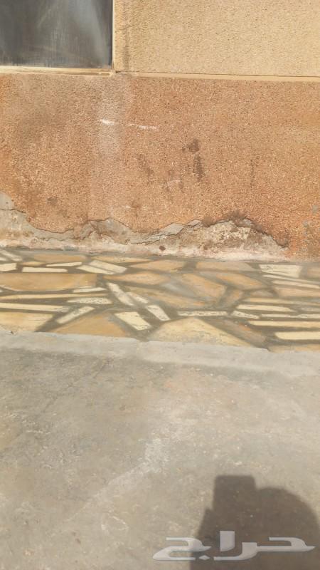 Random stone63007451527041111