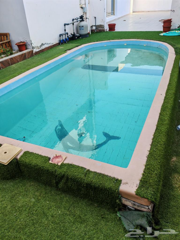 Used pool for sale63007771176962112