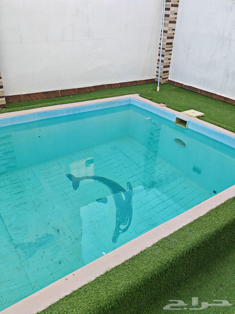Used pool for sale63007771176962111