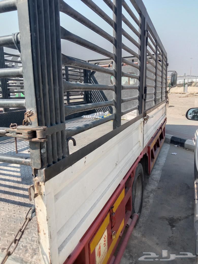 Moving furniture in and out of Al-Jubail63007763516929112