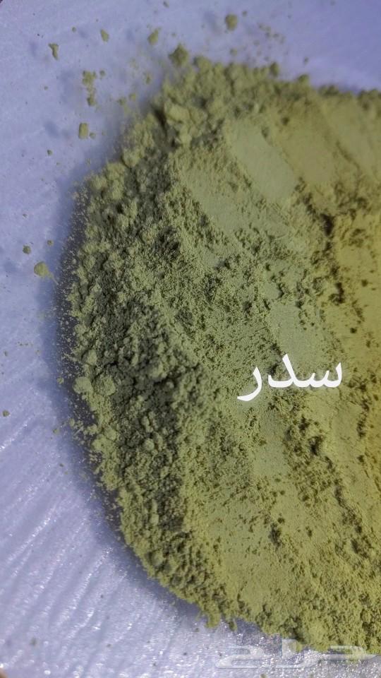 حناء وسدر مديني مطحون ومضمون63315781914497111