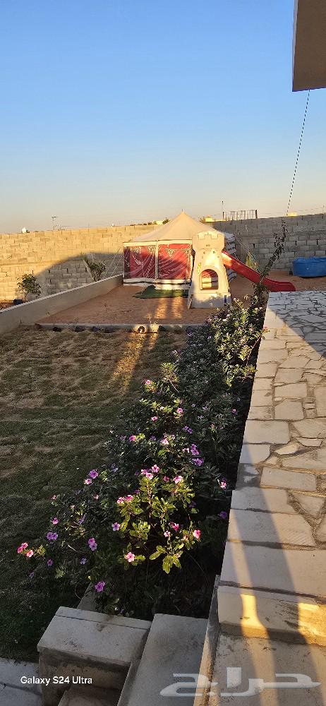 Camp and farm for daily rent, Al-Mashaael63006106623873112
