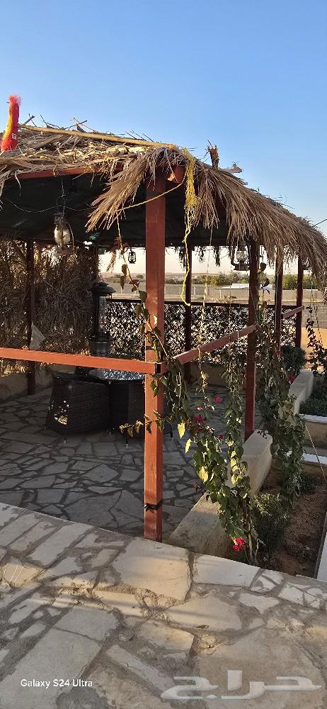 Camp and farm for daily rent, Al-Mashaael63006106623873113
